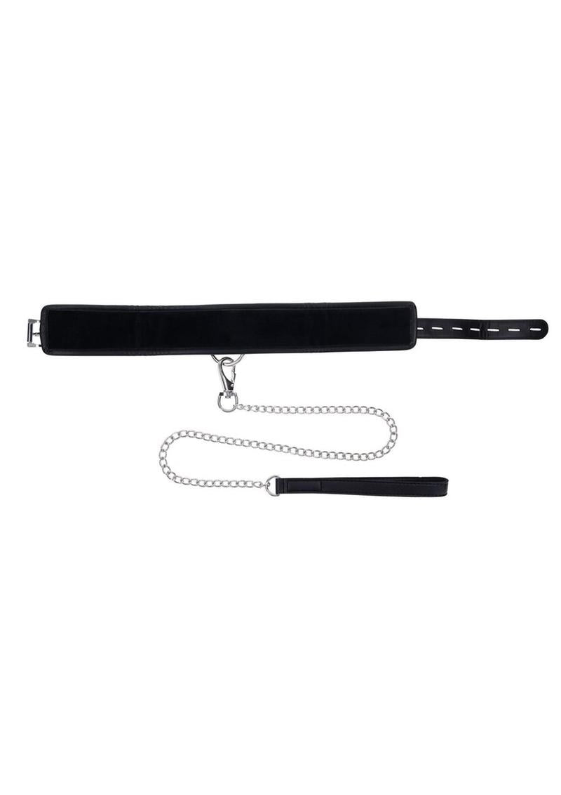 Collar & Leash