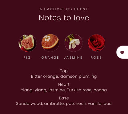 Pure Passion Bundle