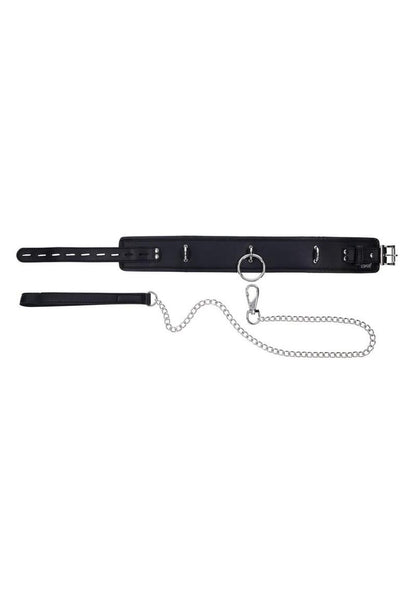 Collar & Leash